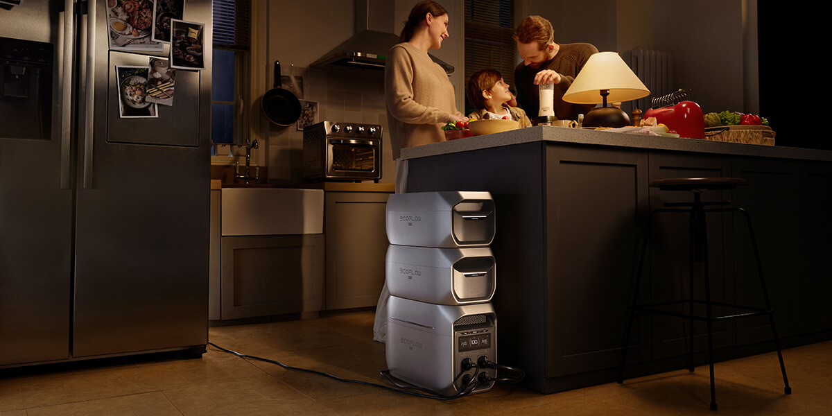 Дополнительная батарея EcoFlow DELTA 3 Max Plus - 3