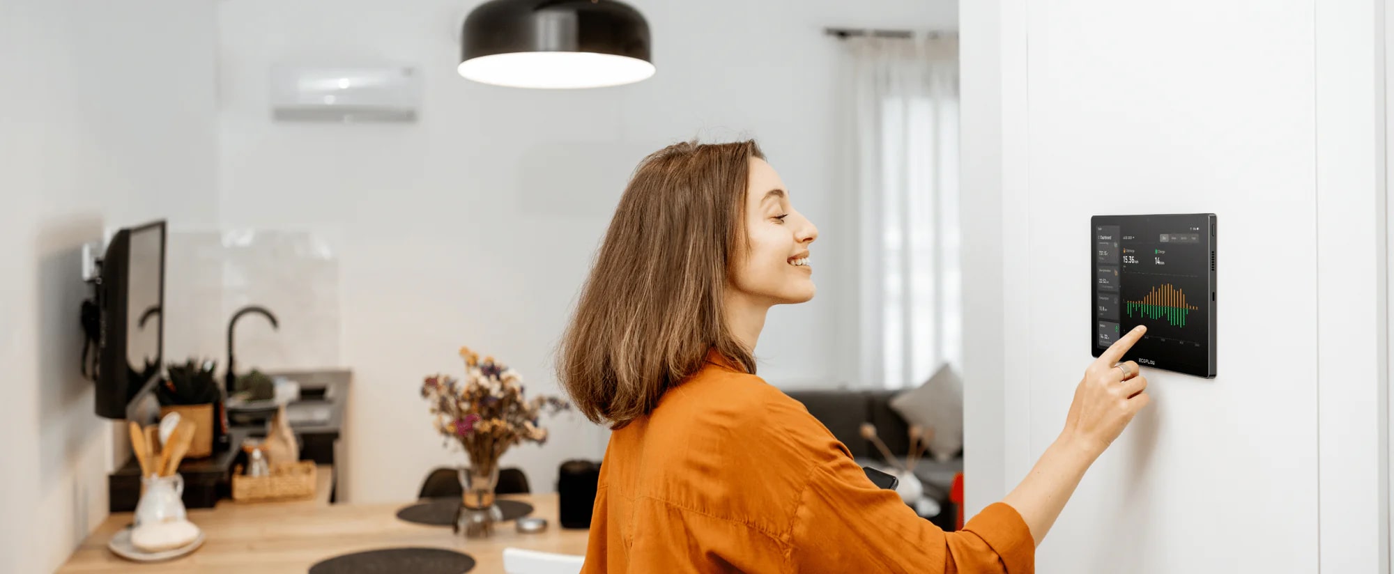 Монитор энергопотребления для дома EcoFlow PowerInsight