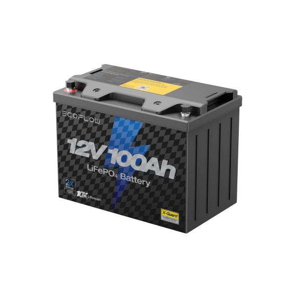 Тяговый аккумулятор EcoFlow 12 В 100 Ач LiFePO4 литиевый - Фото2